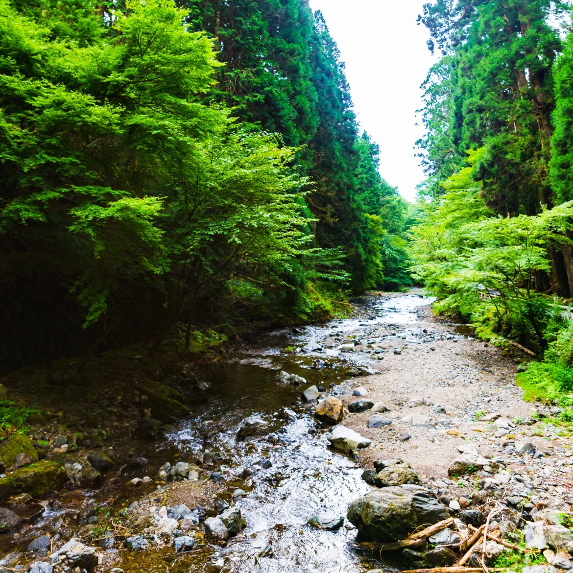 Bergbach im Kibune Tal