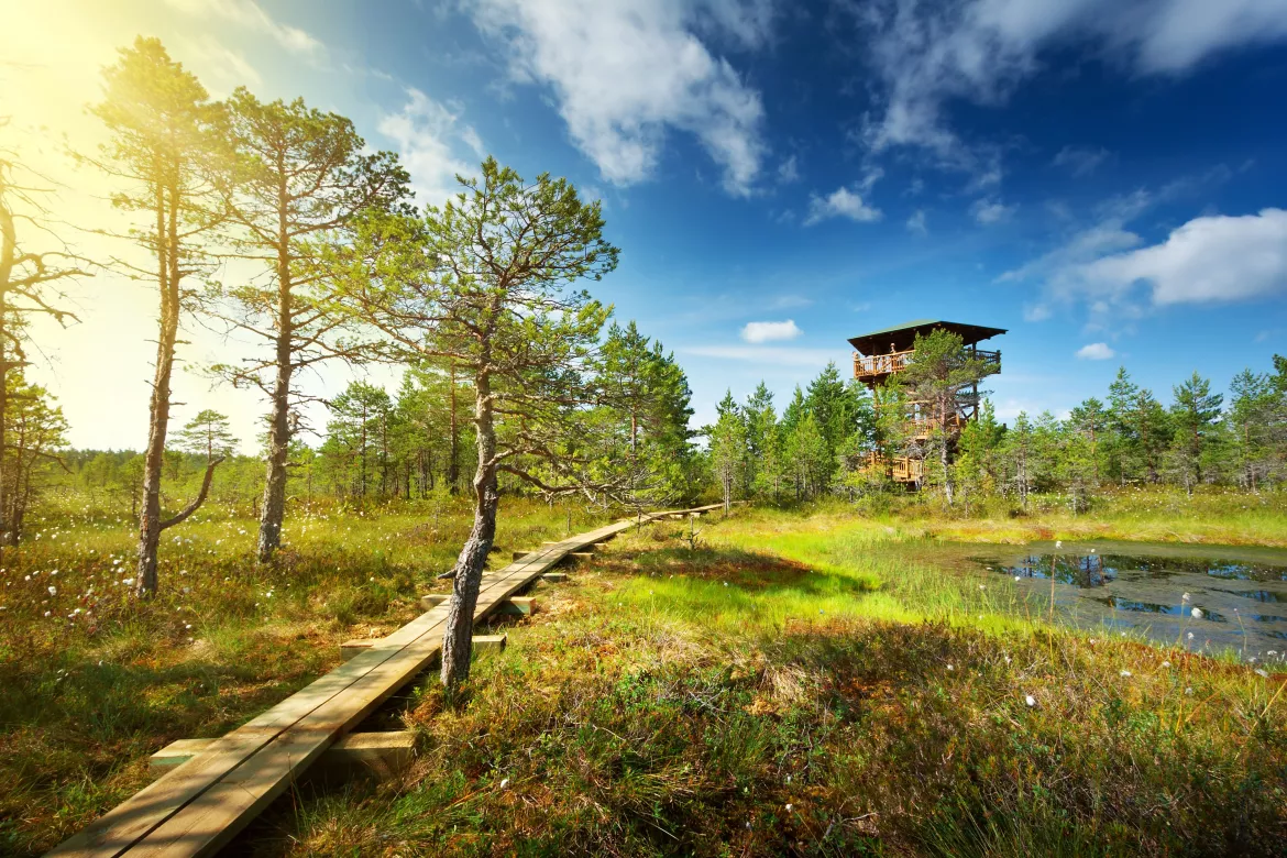 Lahemaa Nationalpark, Estland