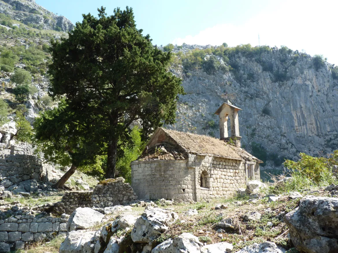 Kotor