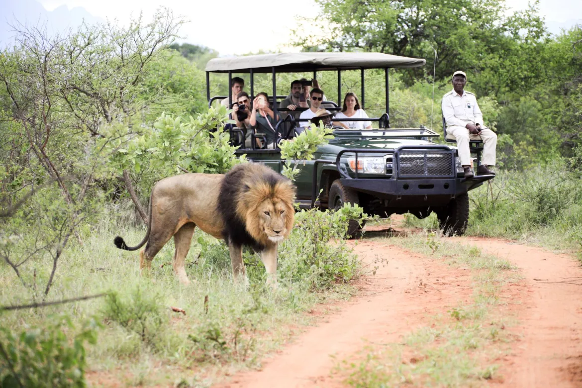 Krüger Nationalpark, Südafrika