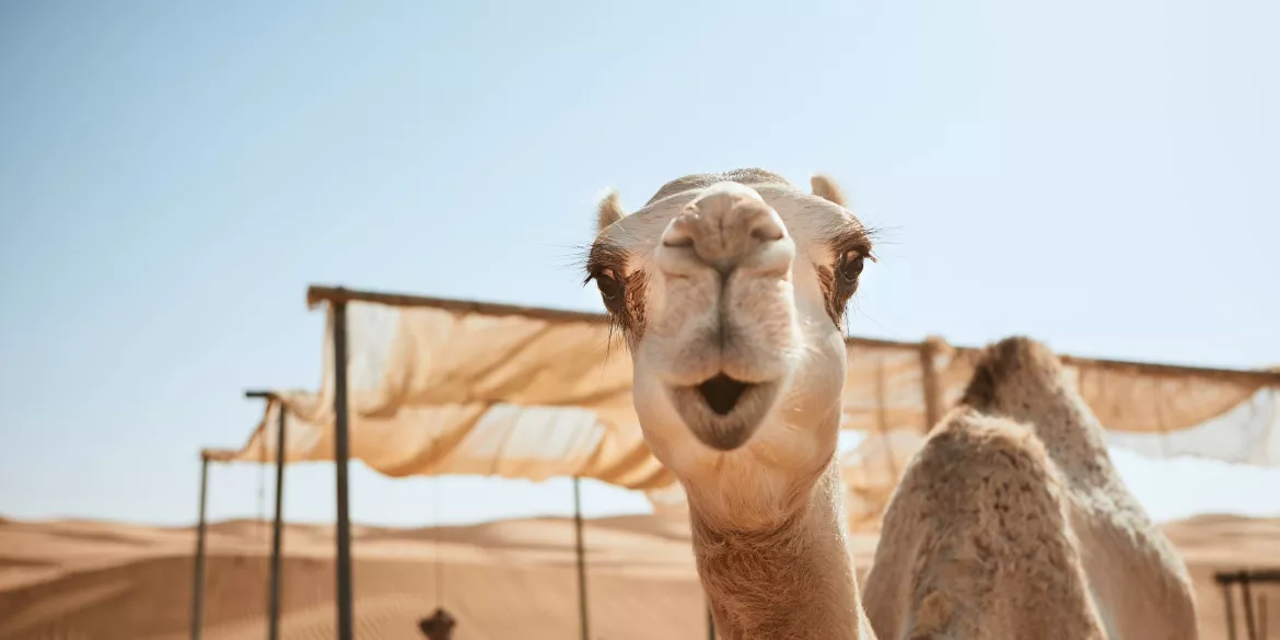Oman