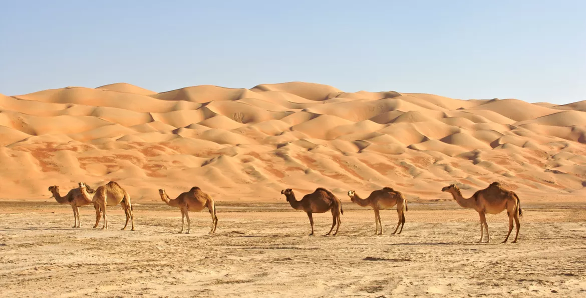 Wahiba Sands, Oman