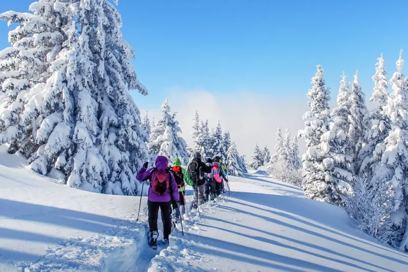 Bild: Winterzauber im Kaukasus Unterwegs mit Noam Strassberg